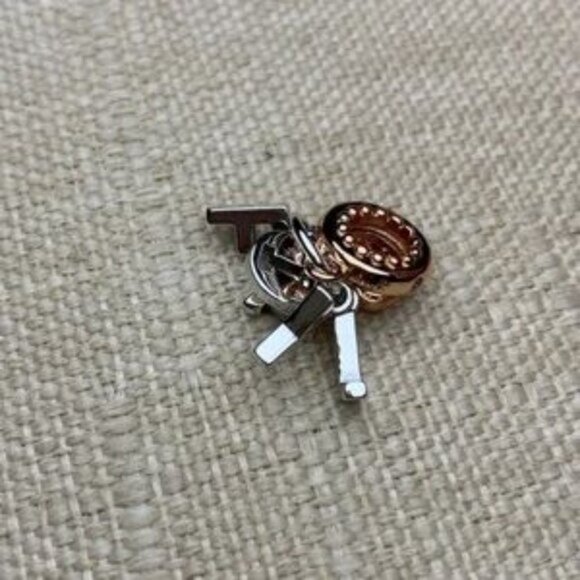 Pandora Family Charm Rose Gold and Silver - Picture 4 of 5